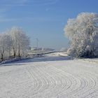 Ungewöhnlich, so kalt im Rhein Main Gebieht.