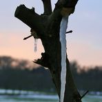 Ungewöhnliche Eiszapfen