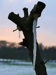 Ungewöhnliche Eiszapfen