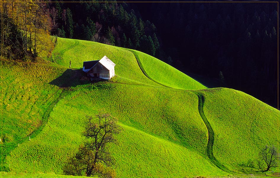 Ungewöhnliche Formen im Emmental