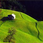 Ungewöhnliche Formen im Emmental