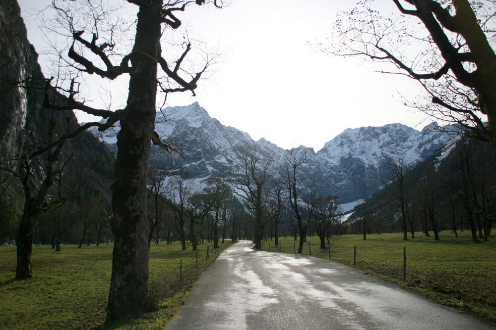 ungewöhnliches Zusammenspiel....der Ahornboden im Karwendelgebirge