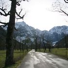 ungewöhnliches Zusammenspiel....der Ahornboden im Karwendelgebirge