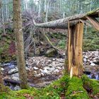 "ungezähmtes" Wasser - "ungezähmte" Natur