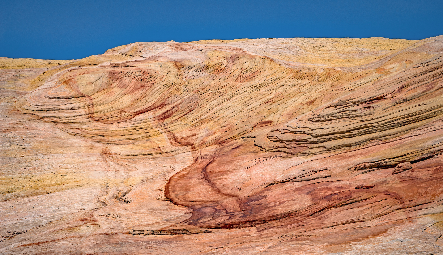 Unglaubliche Farben und Formen am Yellow-Rock