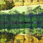 UNGLAUBLICHE SPIEGELUNG AN THUMSEE