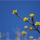 unglaubliches blau