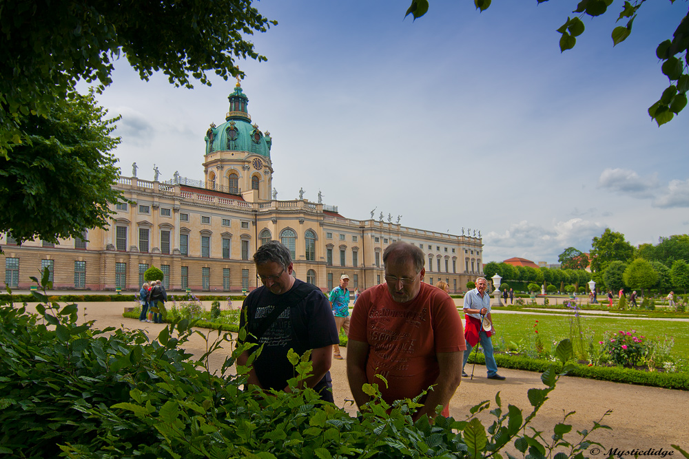 Unglaubliches im Hofgarten