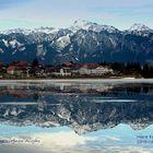 UNGLAUBLICH....Hopfen am See gleich zweimal.....