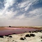 unglaublich...und ohne Chemie, das Rot entsteht durch Algen