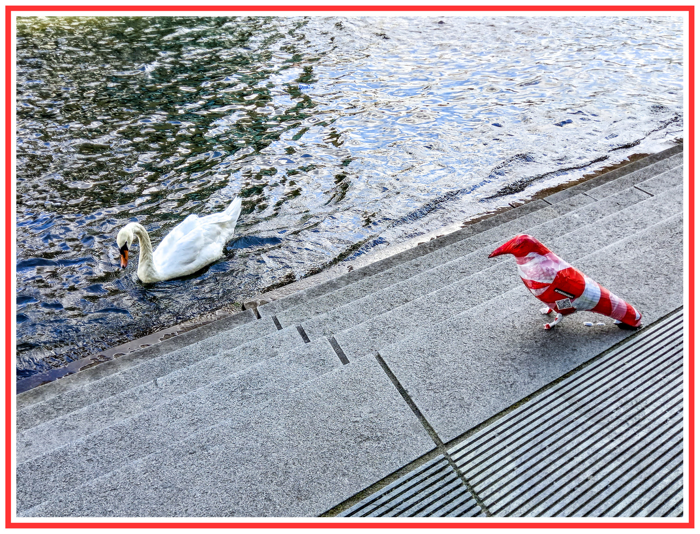 Ungleiche Begegnung an der Spree