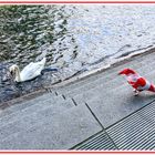 Ungleiche Begegnung an der Spree