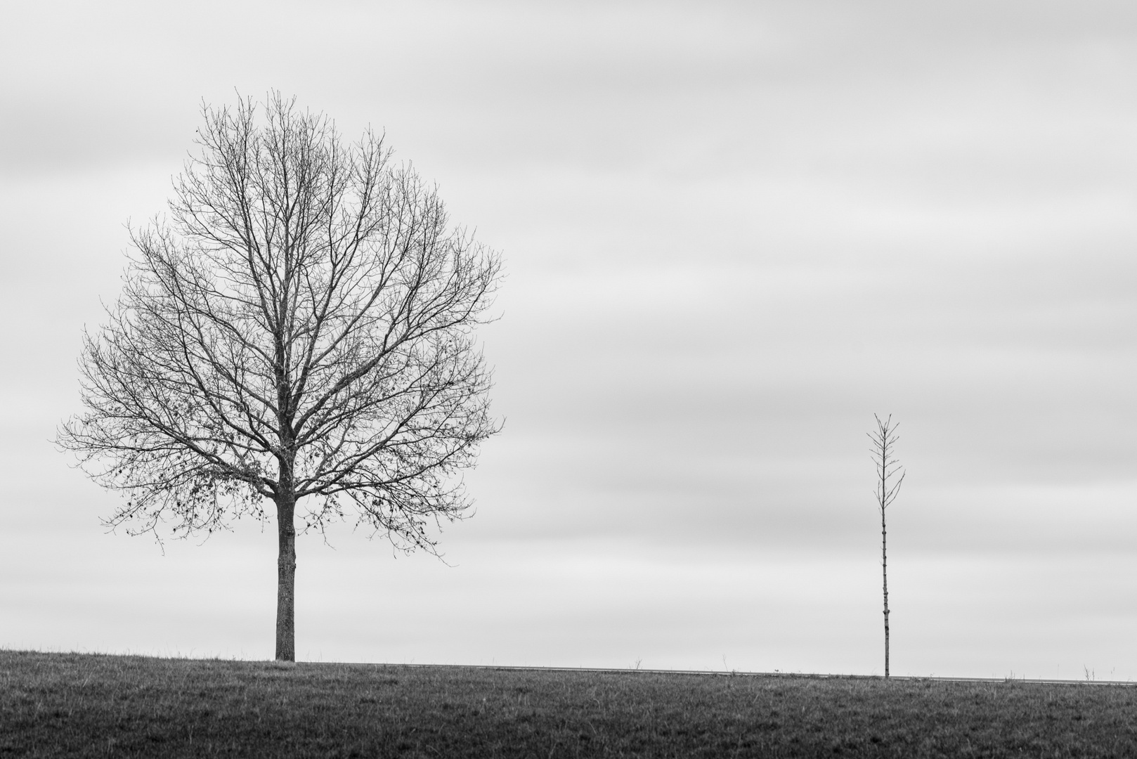 Ungleiche Nachbarn