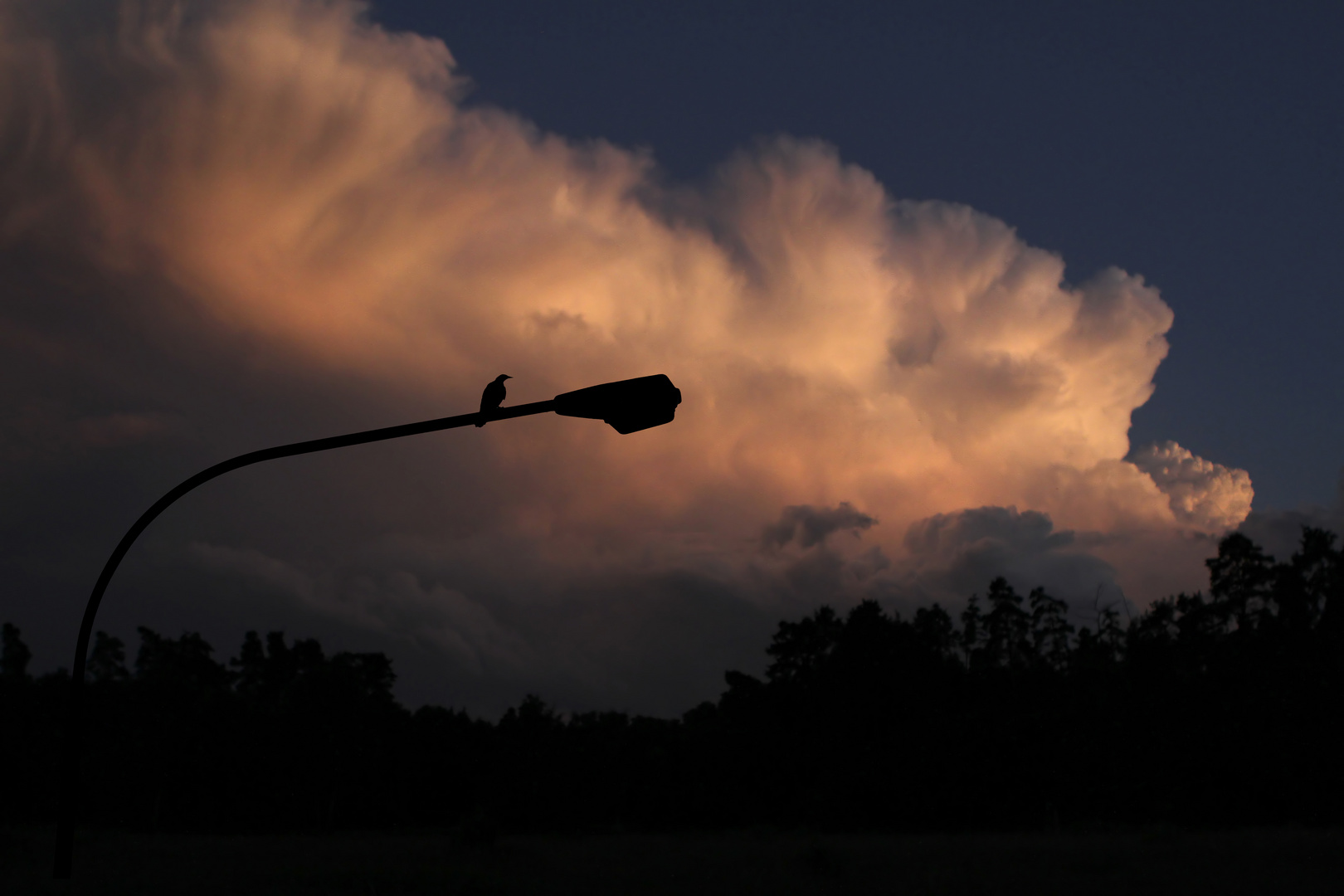 Unheil bringende Sturmwolke