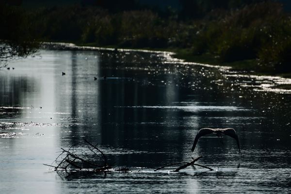 unheimliche Stimmung auf der Ems