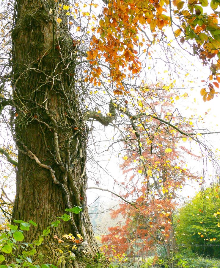 Unheimlicher Herbst