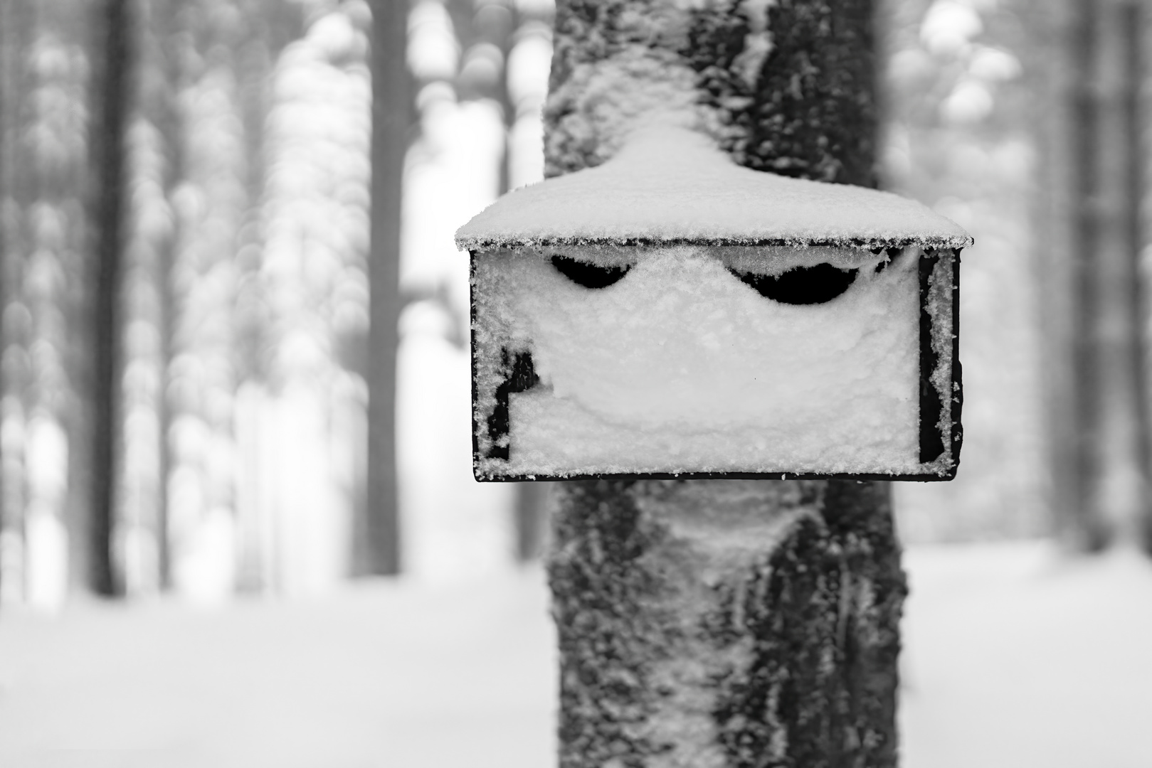 Unheimlicher Mann im Wald