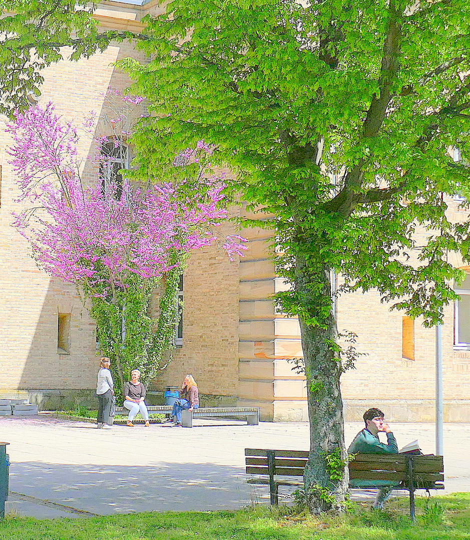 Uni-Campus Germersheim