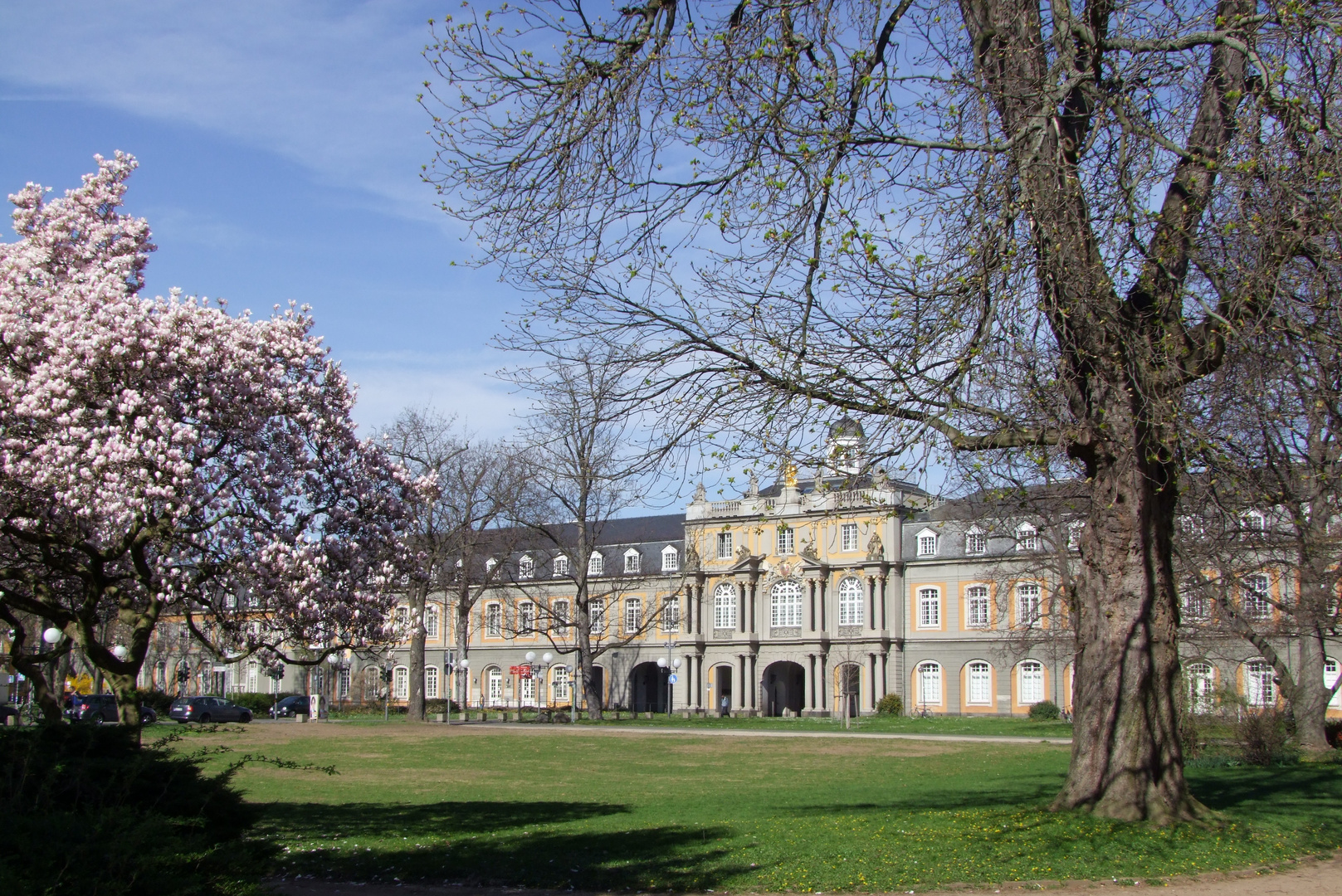 Uni in Bonn