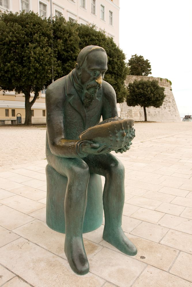 Uni Zadar, Mann mit Muschel