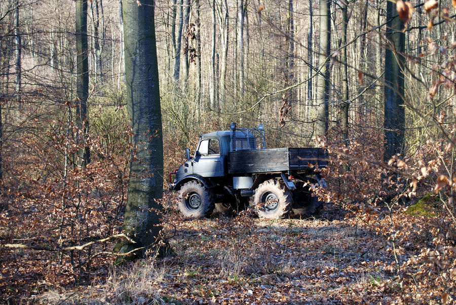 Unimog