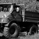 Unimog