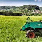 Unimog in Tieringen