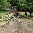 Unimog mit 2 Seilwinden im Einsatz!