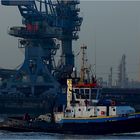 UNION 7 / Tug / Rotterdam