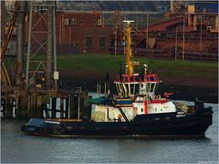 " UNION GRIZZLY " Tug / Port of Rotterdam.