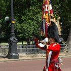 Union Jacks walks