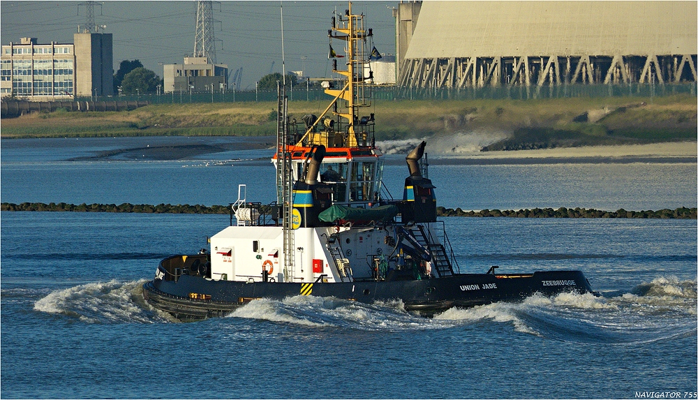 UNION JADE / Tug / Schelde / Antwerpen