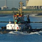 UNION JADE / Tug / Schelde / Antwerpen