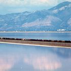 Union Pacific Freight Train is crossing the Salt Lake to Ogdon, UT