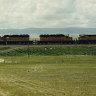 Union Pacific im Grasland von Wyoming,Teil1, USA