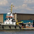 UNION SAPPHIRE / Tug / Antwerpen