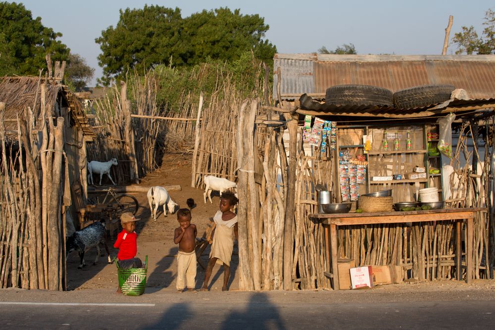 Unique Madagascar Fototour