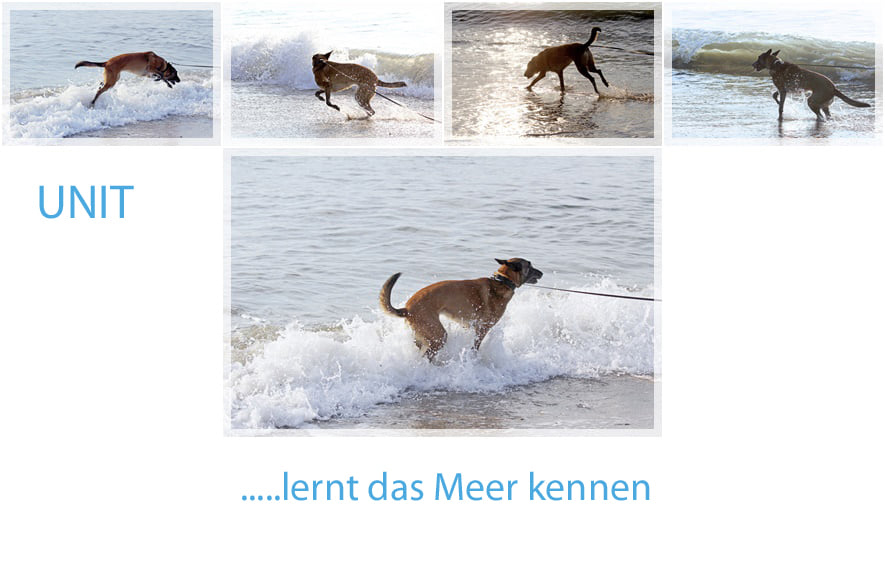 Unit und das Meer