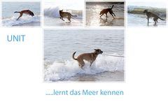 Unit und das Meer