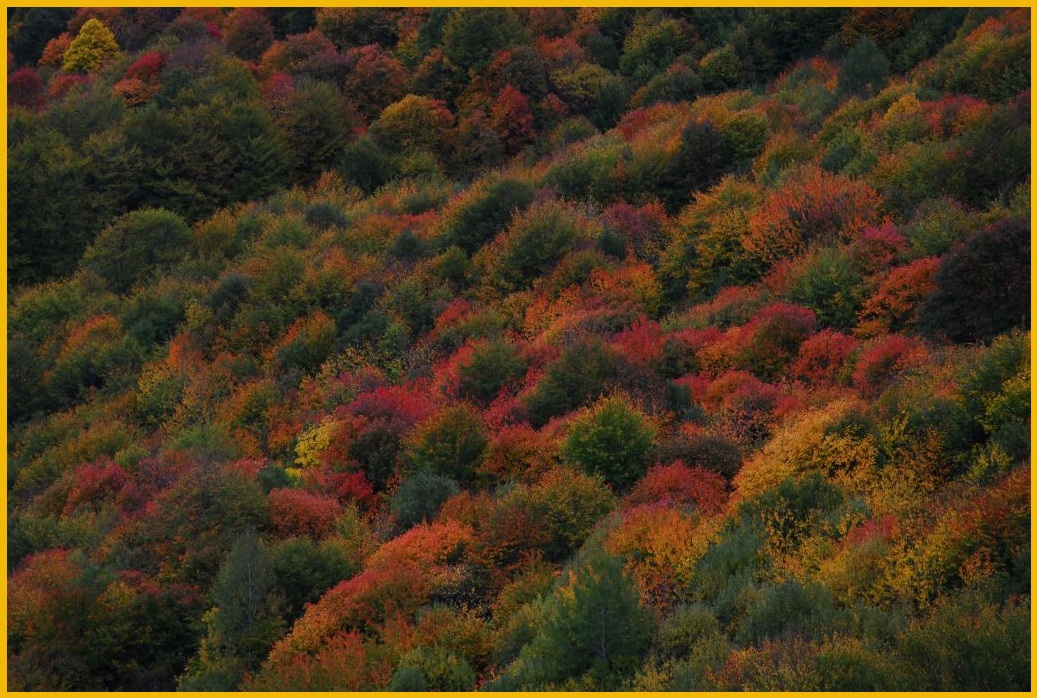 United autumnal colours