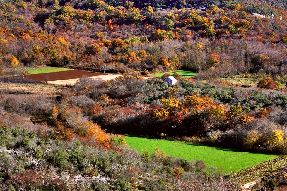 United Colors of Autumn.