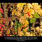 United Colors Of Autumn