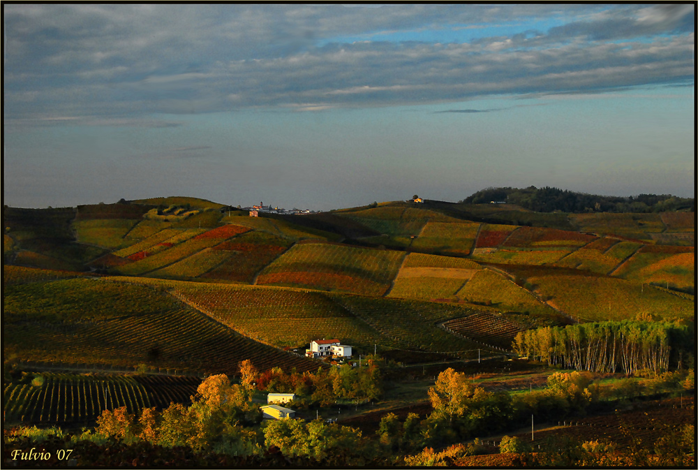 United Colors of Canelli