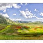 UNITED COLORS OF CASTELLUCCIO