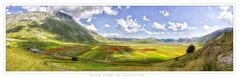 UNITED COLORS OF CASTELLUCCIO