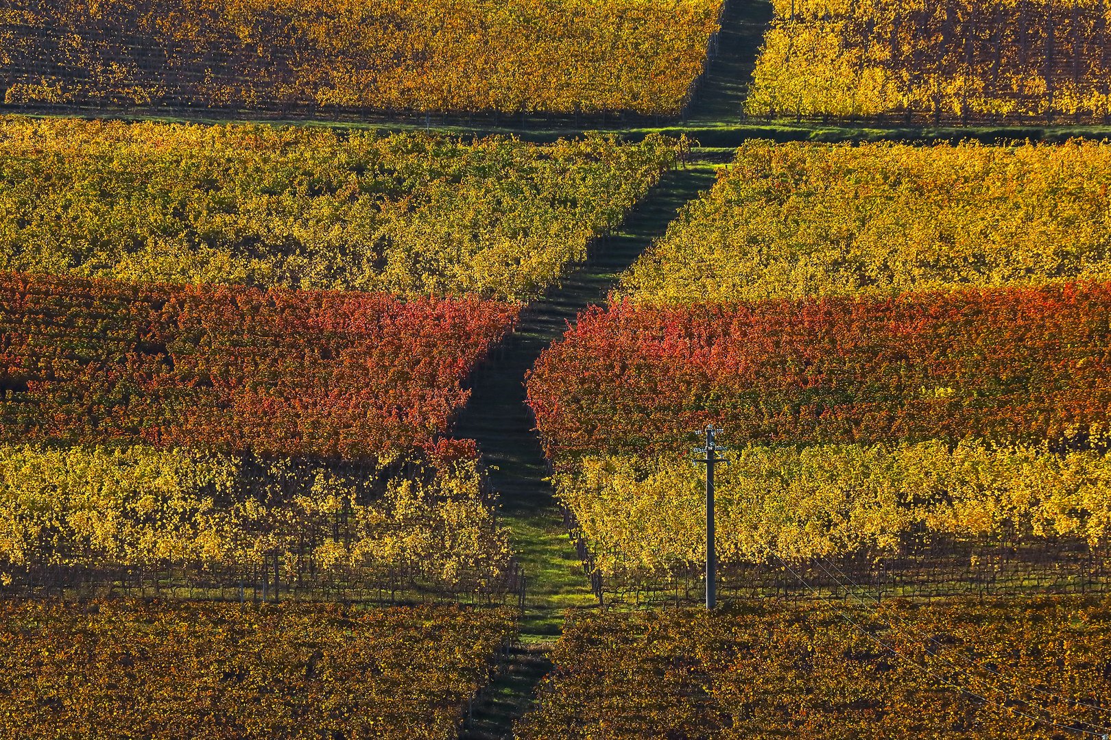 United colors of Monferrato (2)