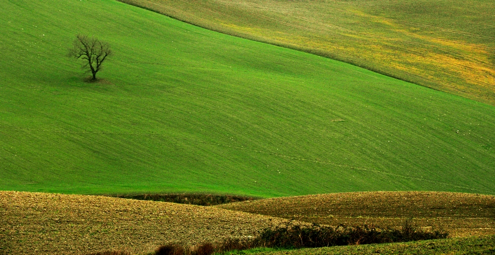 United colors of Toscana