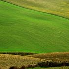 United colors of Toscana