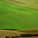 United colors of Toscana