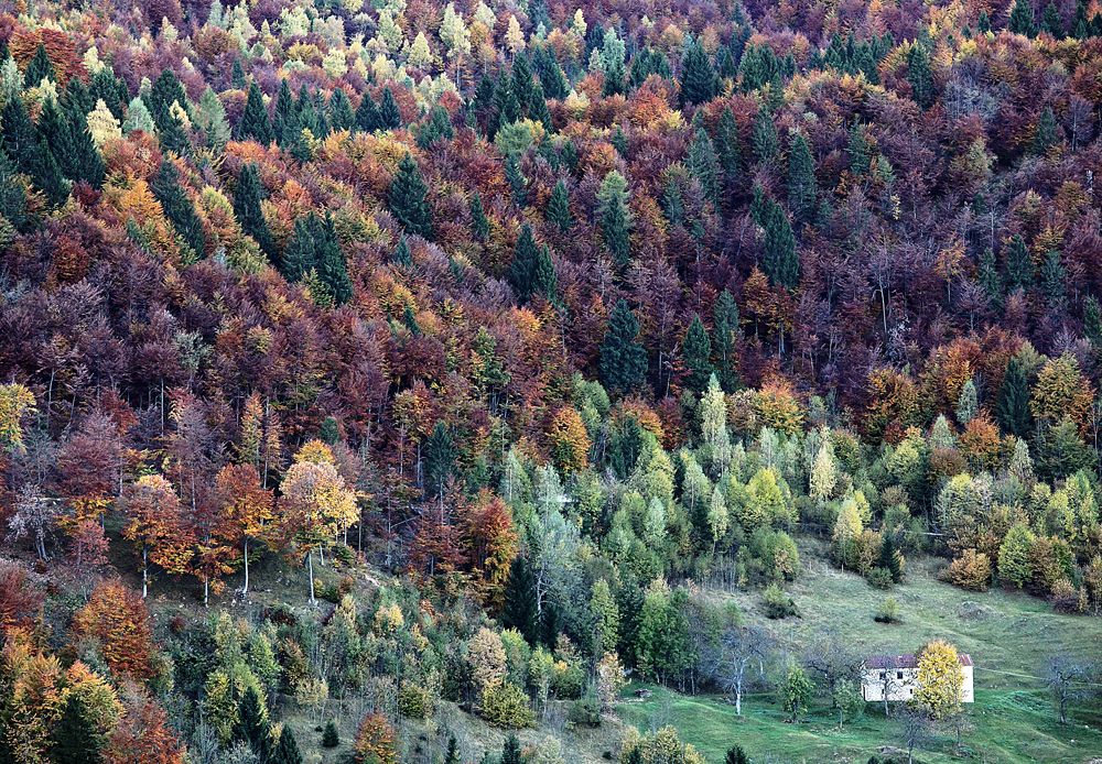 United Colours of Autumn